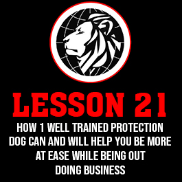 Lesson 21. How 1 well trained protection dog can and will help you be more at ease while being out doing business