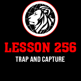 Lesson 256. Trap and capture