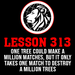 Lesson 313. One tree could make a million matches, but it only takes one match to destroy a million trees